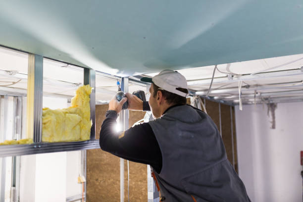 Best Insulation Inspection Services  in Garner, NC