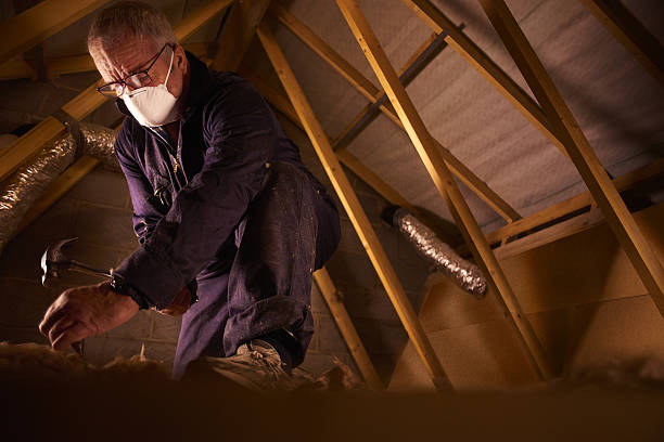 Best Spray Foam Insulation  in Garner, NC
