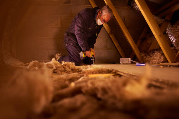 Best Home Insulation Services  in Garner, NC