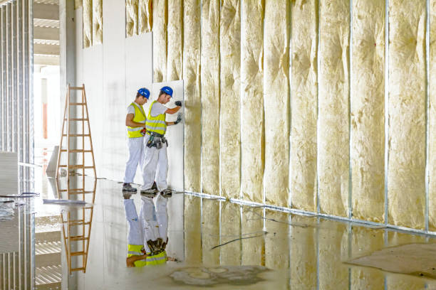 Insulation Contractors for Homes in Garner, NC